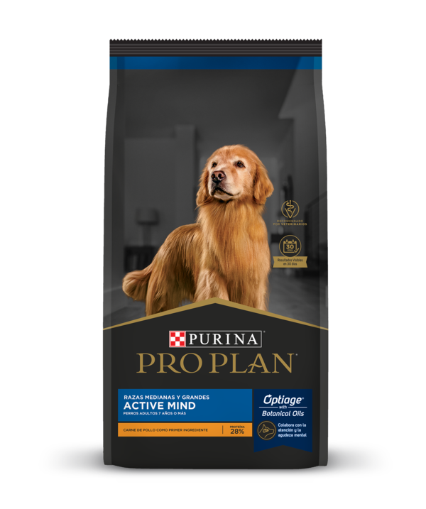 Pro plan active